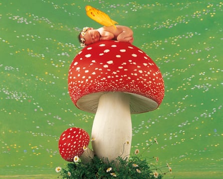 A baby appears to sleep on a toadstool