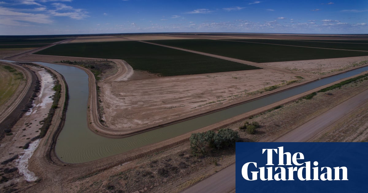 Questions raised over decision to let cotton farms harvest first rainfall in years - The Guardian
