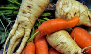 I have not managed to find a single person who gives a toss about the shape of their vegetables: an amusing carrot can even perk us up.