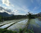 Bali Tourism Siphons Water From Rice Fields