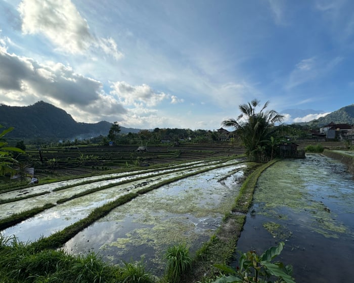 Who is ‘stealing’ Bali’s water? How tourism siphoned off a prized resource