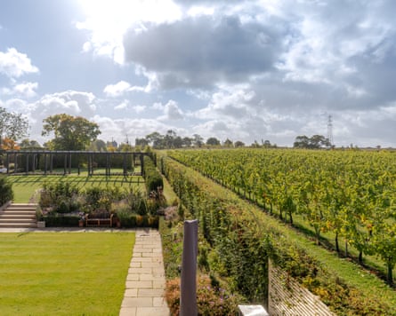 Toppesfield Vineyard Halstead, Essex