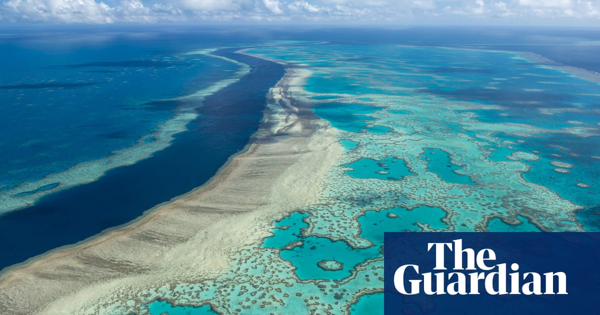 Unesco to visit Great Barrier Reef as coral bleaching risk rises