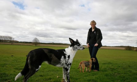 Marie-Claire Pickard with dogs Morgan (lurcher) and Maggie (border Terrier)