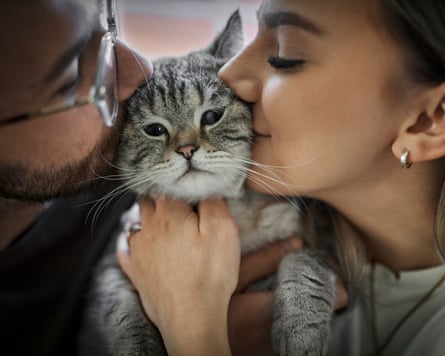 Young couple hugging and kissing cat