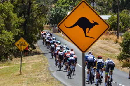 The peloton rides past a kangaroo road sign during Sunday’s last stage
