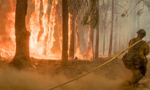 A wildfire burns near Yosemite national park.
