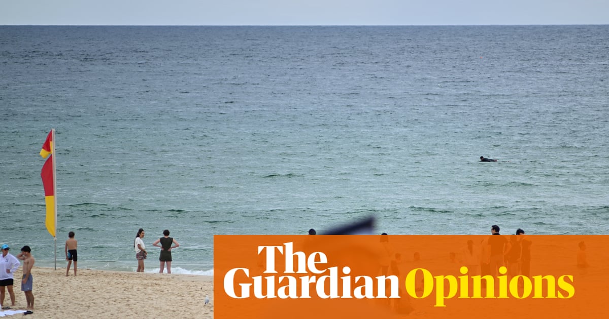 Australia’s gun laws have long been the envy of the world. They must remain so, especially after Bondi | Gideon Meyerowitz-Katz