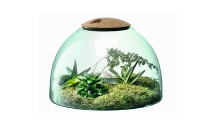 Canopy closed garden, £85, shop.edenproject.com