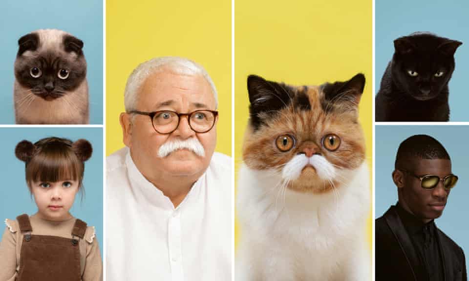 Purrfect Match Cats And Their Human Doubles Photography The Guardian Purrfect Match Cats And Their Human Doubles Photography The Guardian