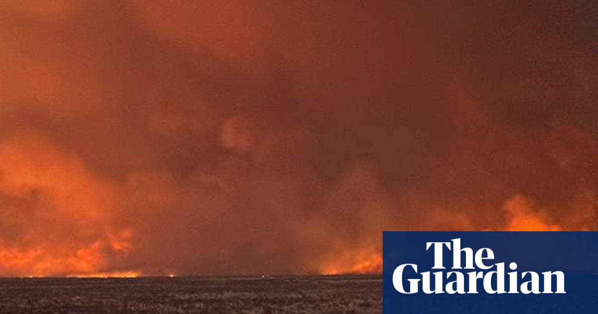 Wildfire in Namibia is contained, says PM, after criticism of response