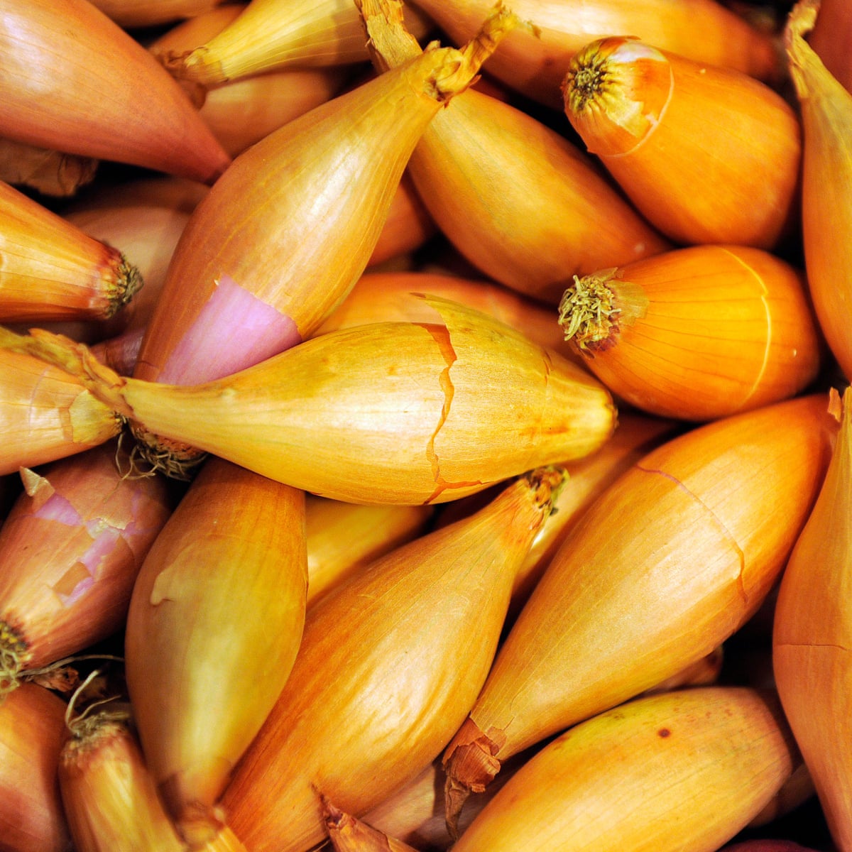 30|cp porn pics onion si.... 1 Tor's underworld, 'onion services' and child sex abuse material: Submission to the Australian Parliamentary Joint Committe