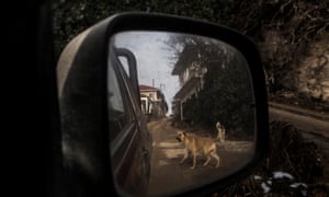 Half-demolished houses and hungry stray dogs in Mavropigi.