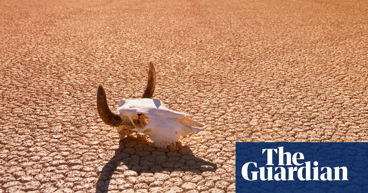 Acerca del futuro de las almas: Reseña de 99 historias de Azrael de Joy Williams – brillantemente serio | Cuentos cortos Acerca del futuro de las almas: Reseña de 99 historias de Azrael de Joy Williams – brillantemente serio | Cuentos cortos