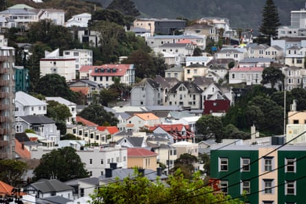 Houses on a hillside in Wellington