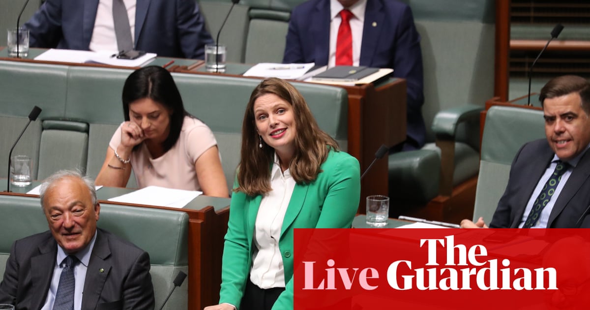 Australia news live: former Adelaide MP named new ALP president; Woolworths blames weak sales growth on being ‘distracted’ by inquiries