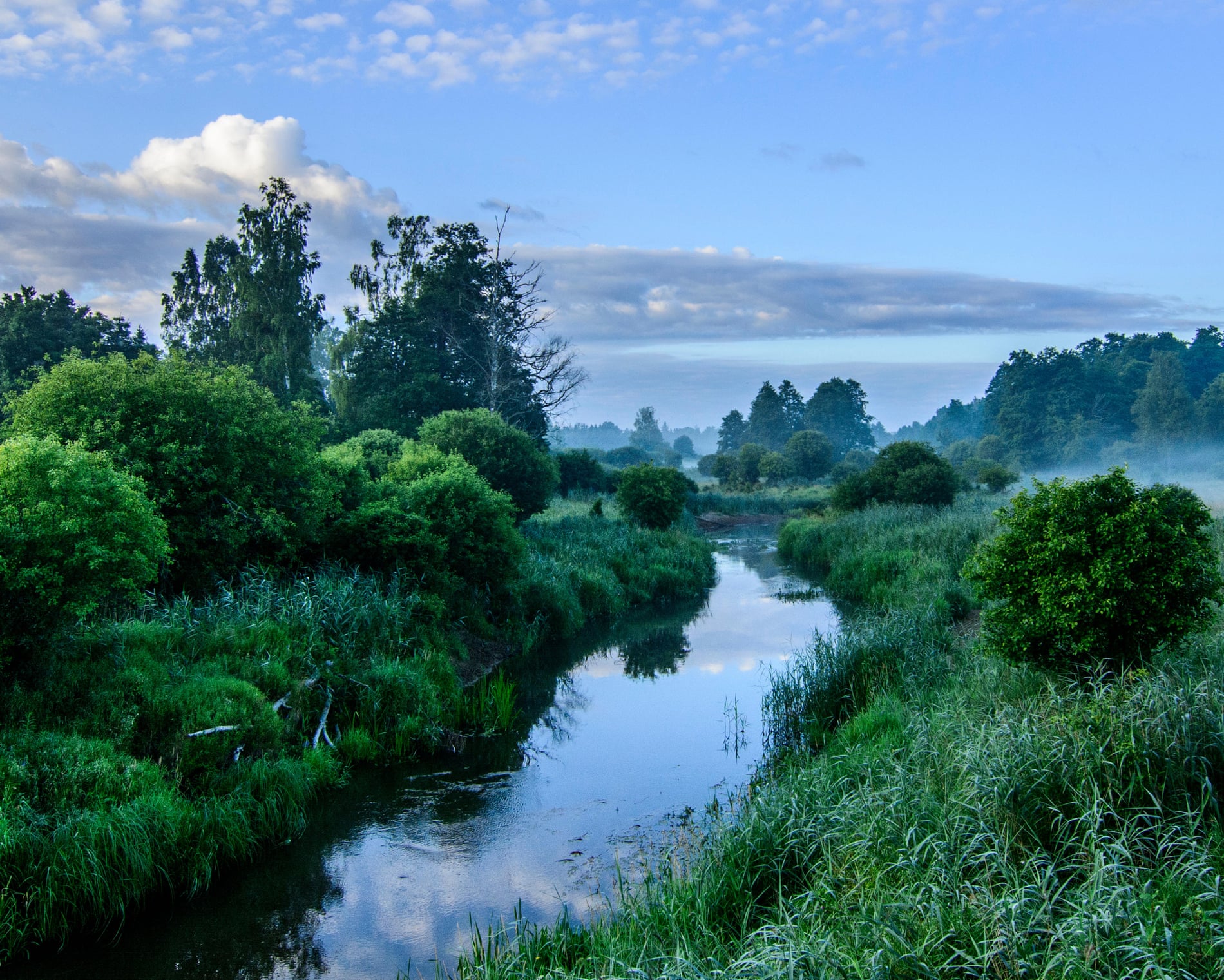 Countries can rewild borders to deter invasions, says EU environment chief