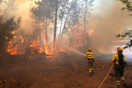 Firefighters direct a hose at burning trees.