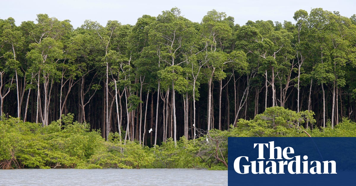 Protecting 30% of planet could bolster economy, study says - The Guardian