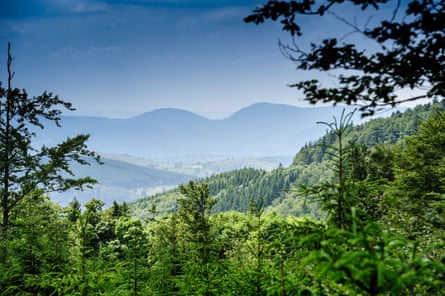 The Vosges mountains in the Alsace.