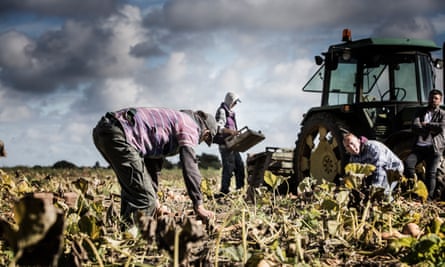 Victims in the agricultural sector are often eastern European men and women, who were promised a job by traffickers, or they could be individuals on the fringes of society, homeless or destitute.