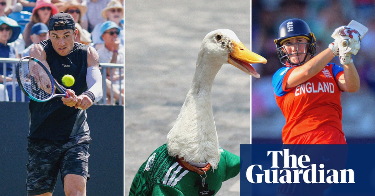 Sports quiz of the week: heat, animals, money and a big week at the World Cup