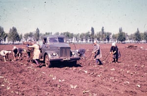 Workers on a collective farm in the Donetsk region of Soviet Ukraine