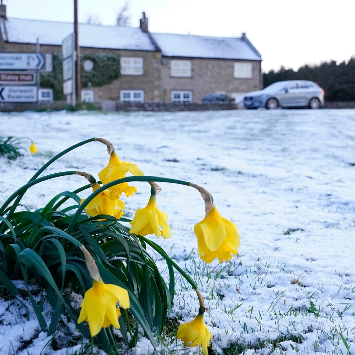 Snow Showers From Scotland To London As Uk Weather Turns Colder Uk Weather The Guardian London Weather Christmas 2021
