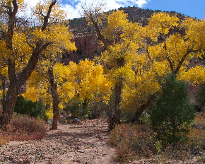 Five family members found dead after flash flood in Utah canyon, police say