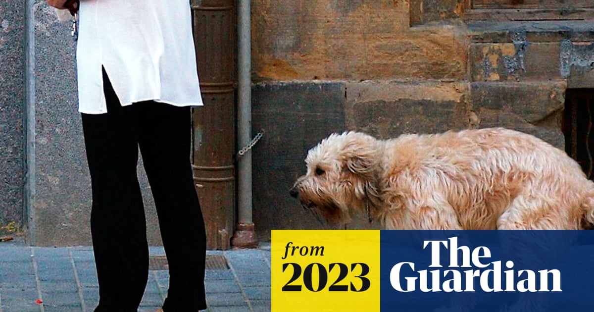 DNA database to be used to crack down on dog faeces in French town
