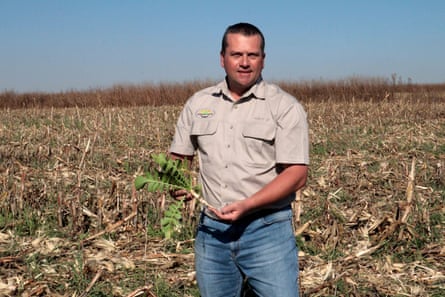 A man in a field of stubble holds a green plant