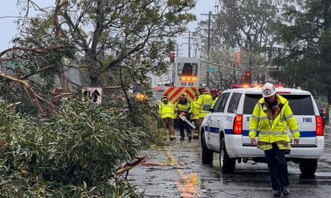 Santa Barbara county firefighters help clear a tree