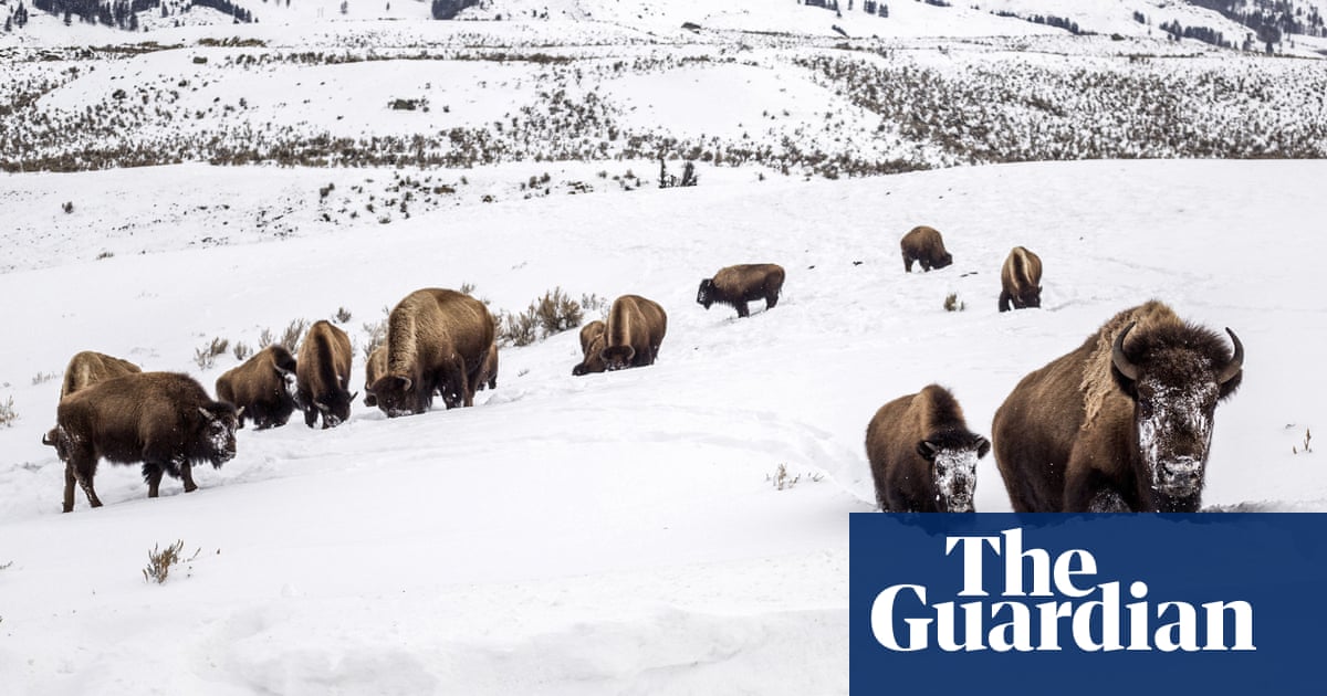 Expanding national parks not enough to protect nature, say scientists