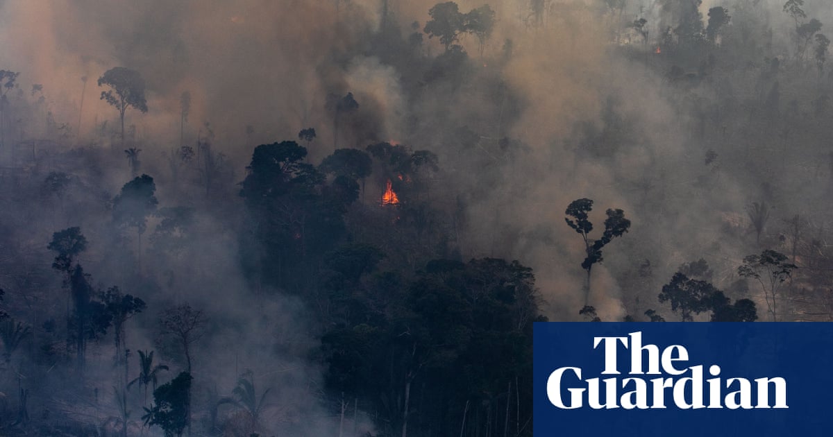 Police raid office of Brazil NGO linked to brigade that helped battle Amazon fires