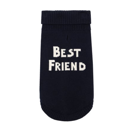Best Friend dog jumper