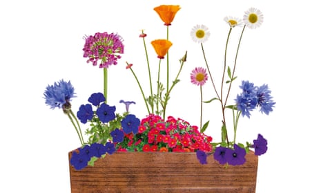 image background colorful multicolored small artificial flowers in a basket  Stock Photo - Alamy