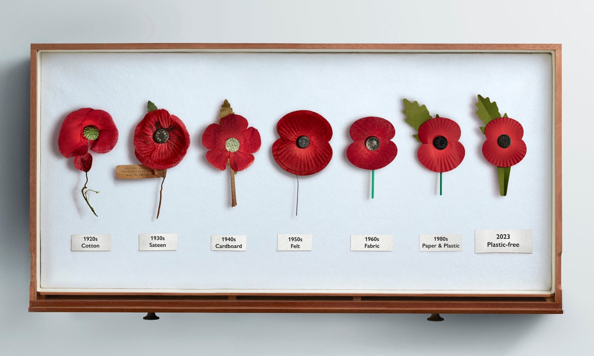 Royal British Legion gives poppy plastic-free makeover, Remembrance Day