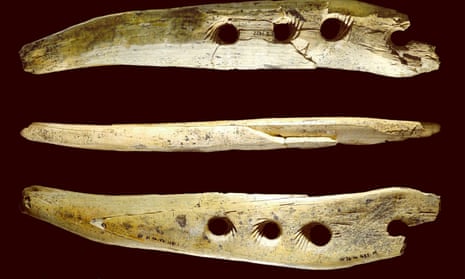 a rope-making tool from 40,000 years ago
