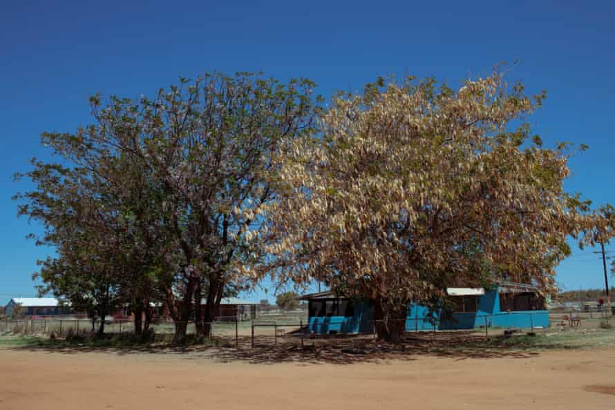 Homes at the Laramba community