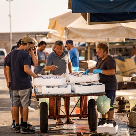 Fish straight off the boat at Trani docks, Italy.