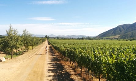 Cycling in the Colchagua valley.