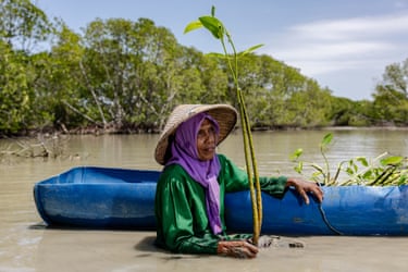 A woman standing up to her waist in muddy-coloured water, holding a tree seedling, next to a blue plastic boat containing more seedlings