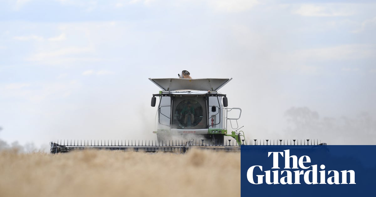 ‘It’s not panic-buying’: farmers defend stockpiling as regional Australia bears brunt of fuel crisis