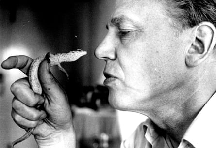 David Attenborough holding a pygmy goanna up to his face, 1984