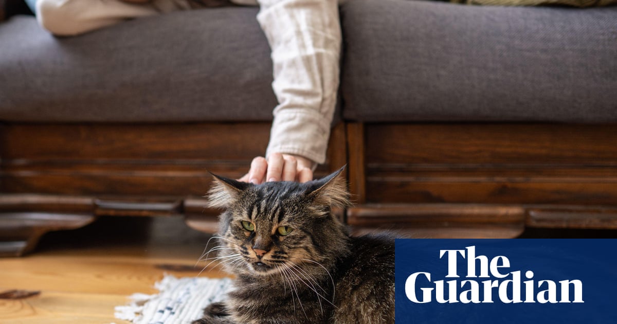 Tell us: how were you affected by grief over a pet?