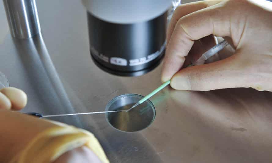 A scientist at work during an IVF process.