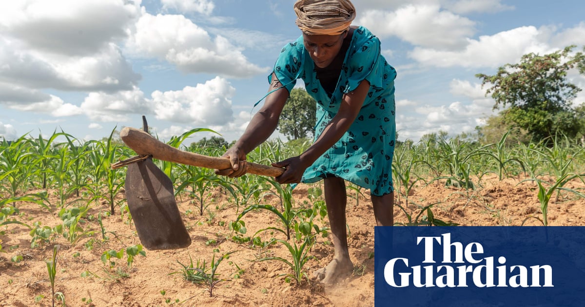 ‘Climate smart’ policies could increase southern Africa’s crops by up to 500%