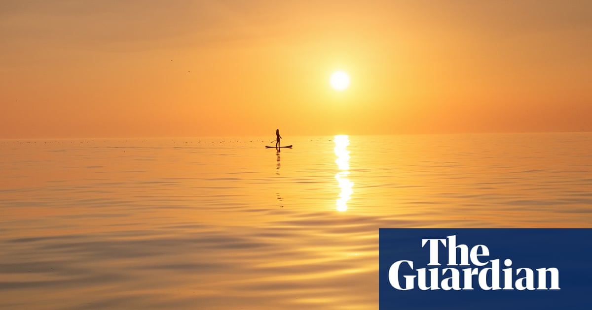 A moment in the sun and a field of gold – readers’ best photos | Community | The Guardian