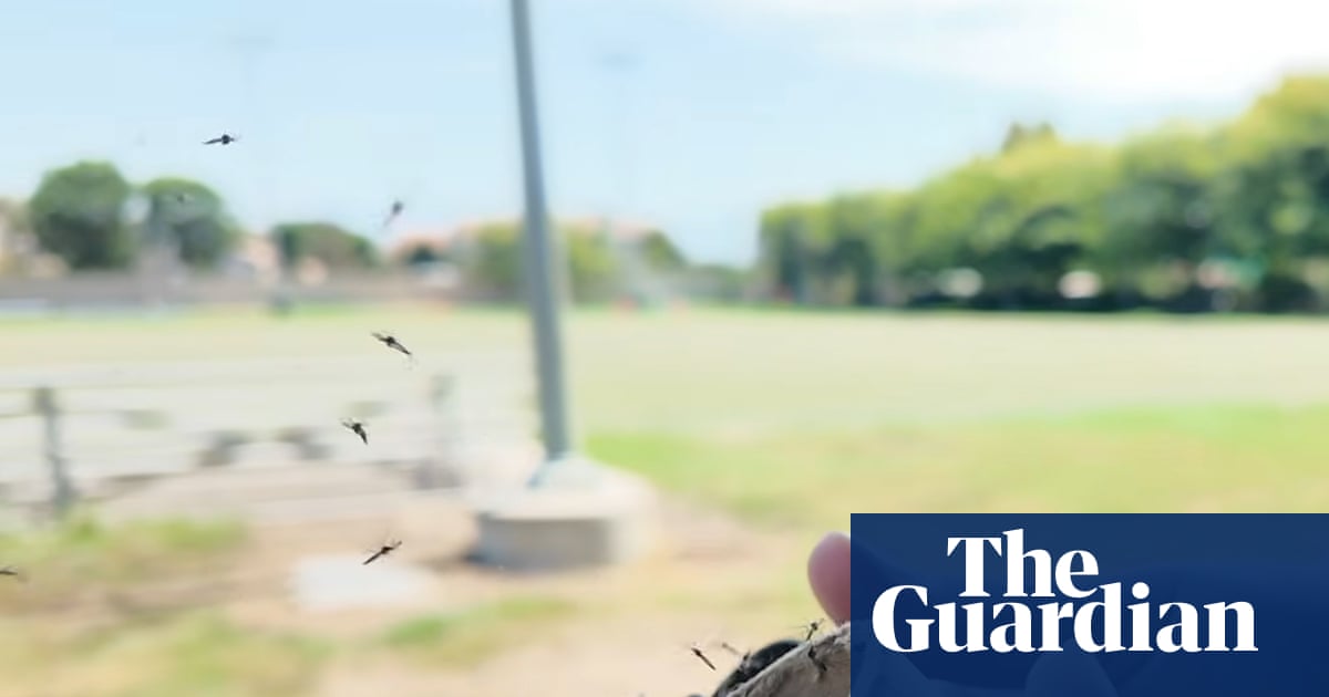Scientists are fighting a longer mosquito season with ... more mosquitoes