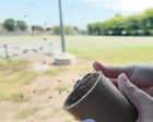 California Releases Male Mosquitoes to Combat Longer Seasons